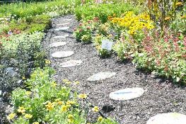 A garden path with round stepping stones winds through flower beds filled with yellow and pink blooms, surrounded by green foliage on a sunny day.