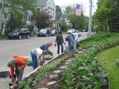A group of people work together tending a garden beside a residential street lined with cars and houses. An American flag is visible on a pole in the background.